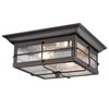 Westinghouse Fixture Ceiling Outdr Flush-Mount 60W 2-Light Orwell 11In ORB H-Lights Clear Sd Glass 6578400